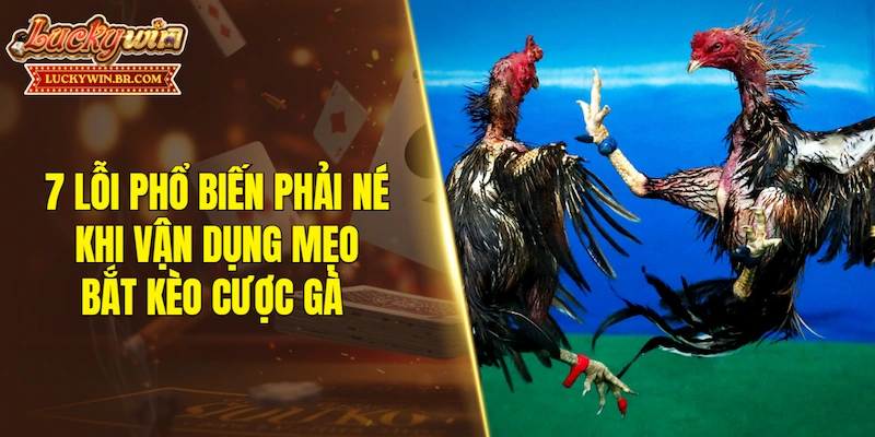 7 lỗi phổ biến phải né khi vận dụng mẹo bắt kèo cược gà 