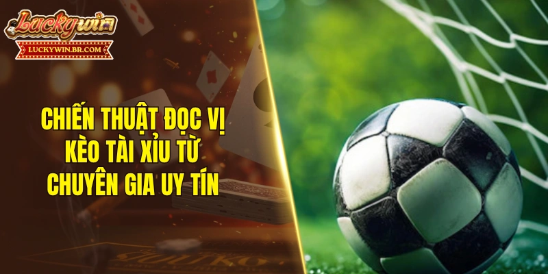 Chiến thuật đọc vị kèo tài xỉu từ chuyên gia uy tín