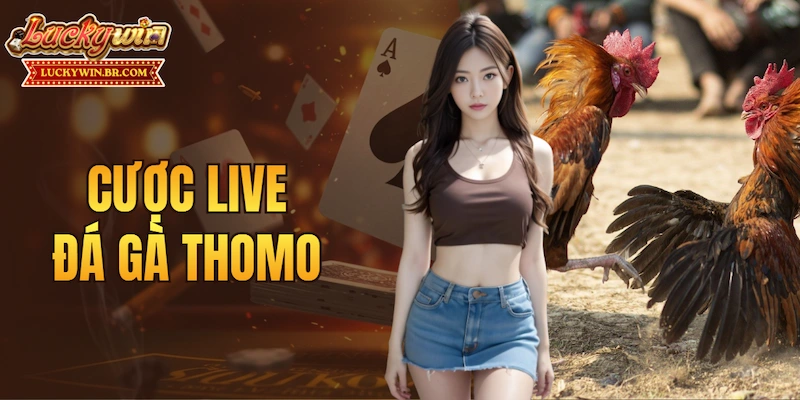 Cược live đá gà Thomo