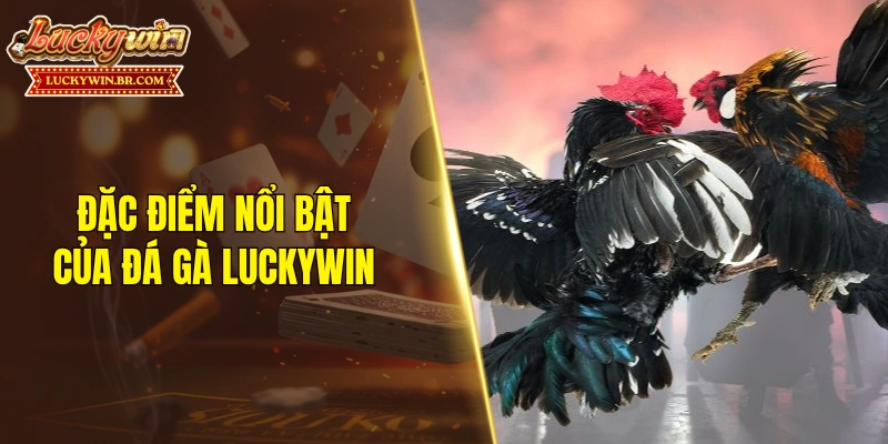 Đặc điểm nổi bật của đá gà LUCKYWIN