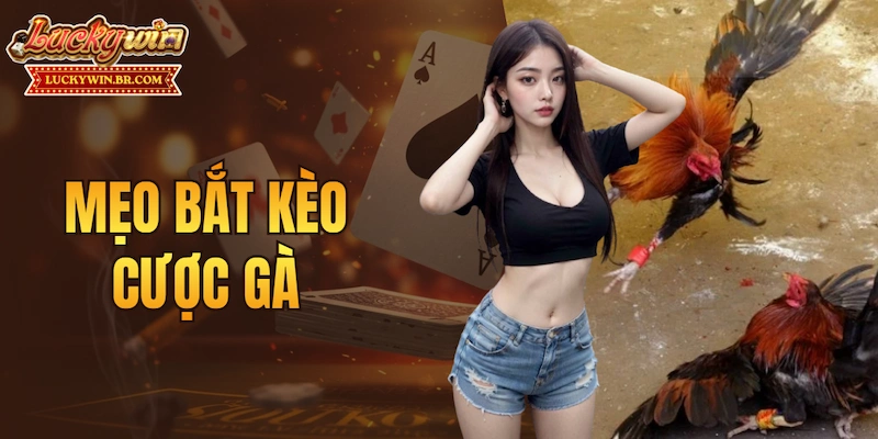 Mẹo bắt kèo cược gà